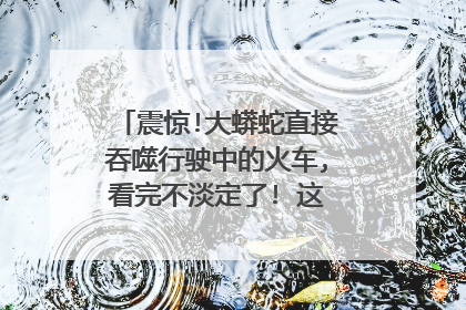 震惊!大蟒蛇直接吞噬行驶中的火车,看完不淡定了! 这电影叫什么名字