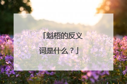 魁梧的反义词是什么？