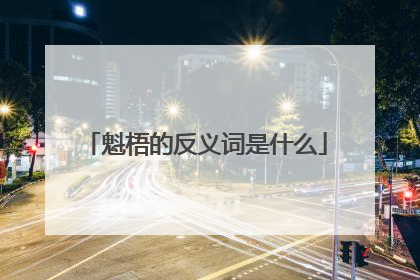 魁梧的反义词是什么