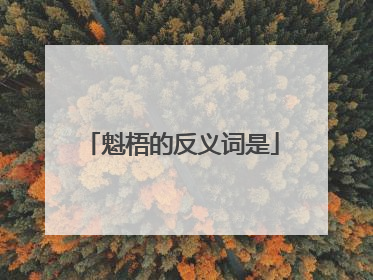 魁梧的反义词是