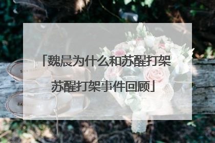 魏晨为什么和苏醒打架 苏醒打架事件回顾