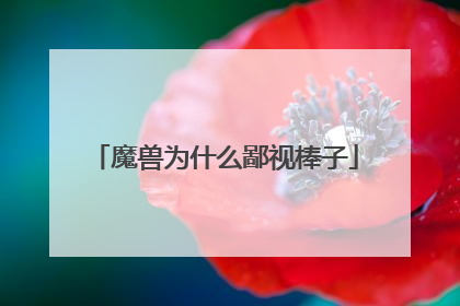 魔兽为什么鄙视棒子