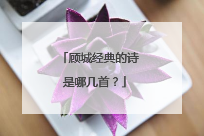 顾城经典的诗是哪几首？