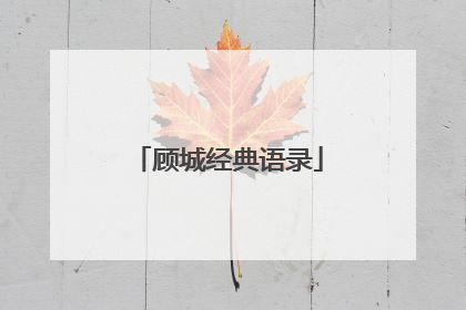 顾城经典语录