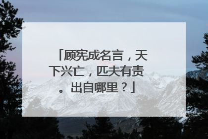 顾宪成名言,天下兴亡,匹夫有责。出自哪里?