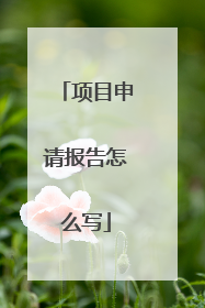 项目申请报告怎么写