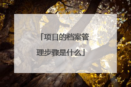 项目的档案管理步骤是什么