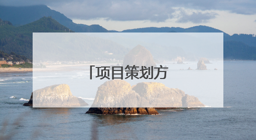 项目策划方案怎么做?