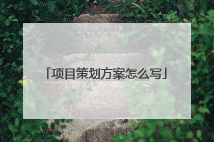 项目策划方案怎么写