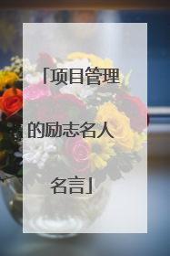 项目管理的励志名人名言