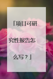 项目可研究性报告怎么写？