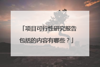 项目可行性研究报告包括的内容有哪些?