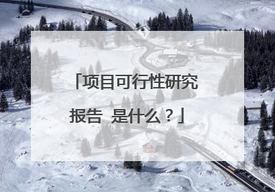项目可行性研究报告 是什么?