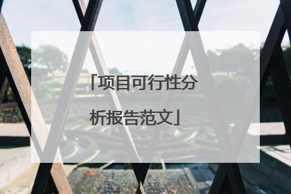 项目可行性分析报告范文