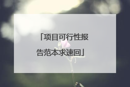 项目可行性报告范本求速回