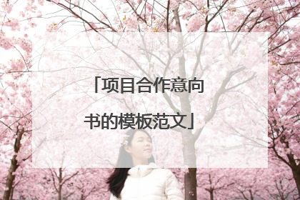 项目合作意向书的模板范文