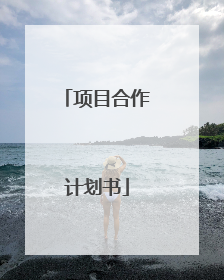 项目合作计划书