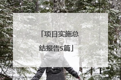 项目实施总结报告5篇