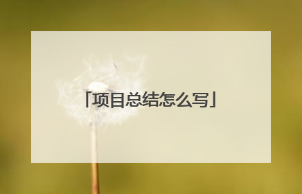 项目总结怎么写