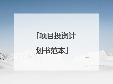 项目投资计划书范本