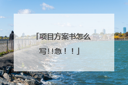项目方案书怎么写!!急!!