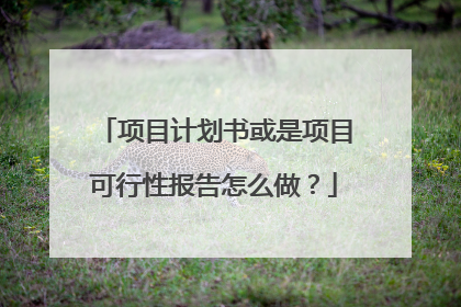 项目计划书或是项目可行性报告怎么做？