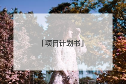 项目计划书
