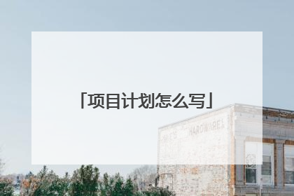 项目计划怎么写