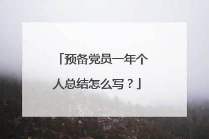 预备党员一年个人总结怎么写？