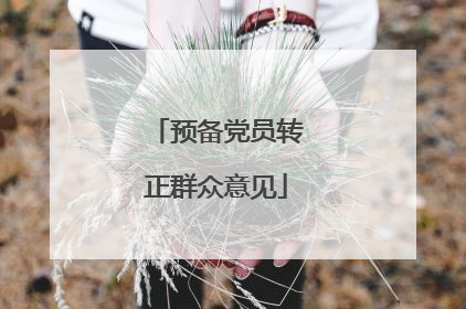 预备党员转正群众意见