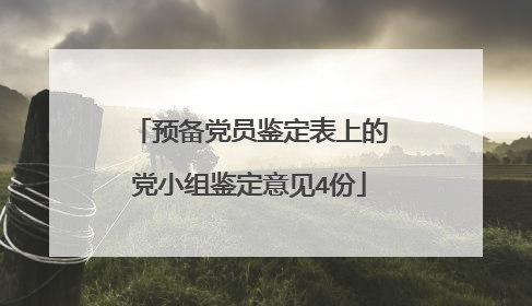 预备党员鉴定表上的党小组鉴定意见4份