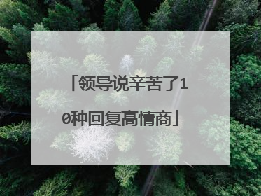 领导说辛苦了10种回复高情商