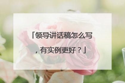领导讲话稿怎么写,有实例更好?