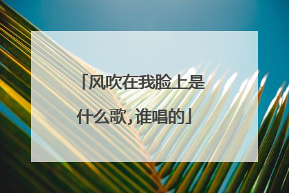 风吹在我脸上是什么歌,谁唱的