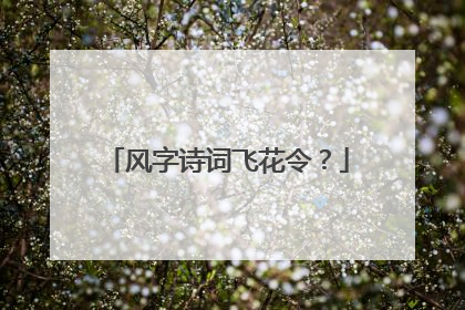 风字诗词飞花令？