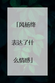 风杨绛表达了什么情感