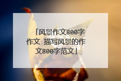 风景作文800字作文 描写风景的作文800字范文