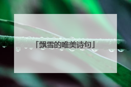 飘雪的唯美诗句