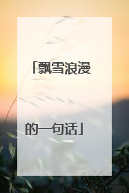 飘雪浪漫的一句话