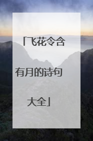 飞花令含有月的诗句大全