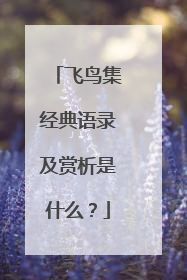 飞鸟集经典语录及赏析是什么？