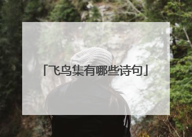 飞鸟集有哪些诗句