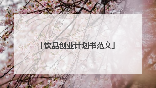 饮品创业计划书范文