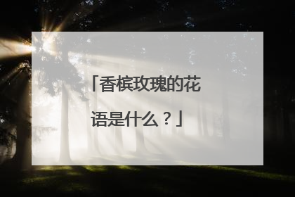 香槟玫瑰的花语是什么？