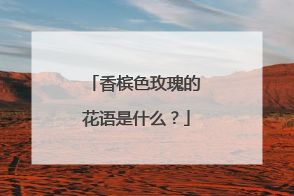 香槟色玫瑰的花语是什么？