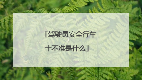 驾驶员安全行车十不准是什么