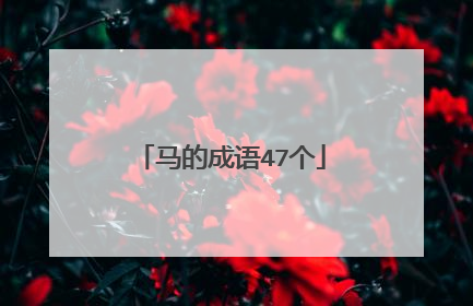 马的成语47个