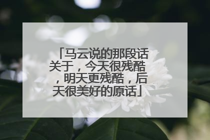 马云说的那段话关于，今天很残酷，明天更残酷，后天很美好的原话