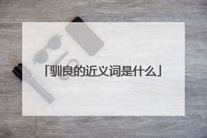 驯良的近义词是什么