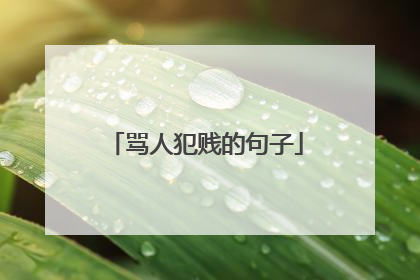 骂人犯贱的句子